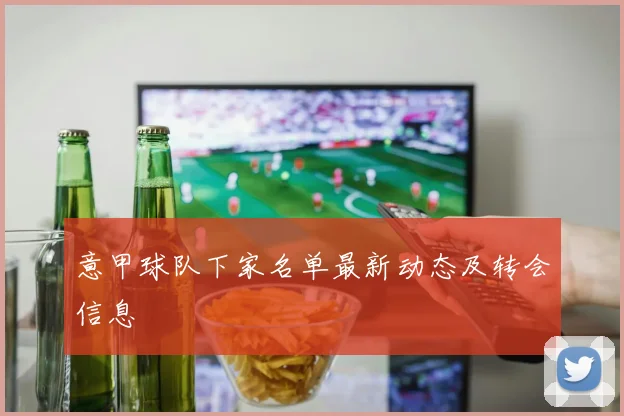 意甲球队下家名单最新动态及转会信息