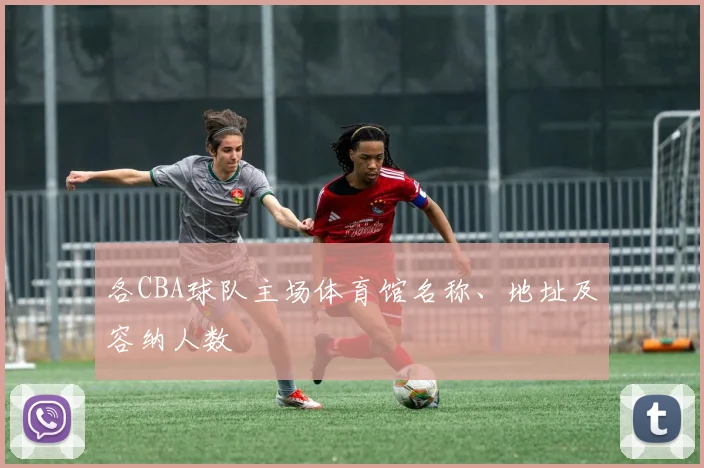 各CBA球队主场体育馆名称、地址及容纳人数