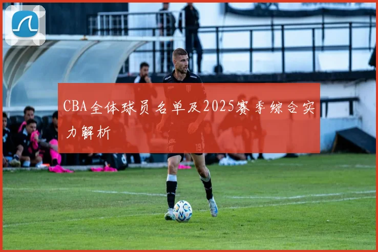 CBA全体球员名单及2025赛季综合实力解析