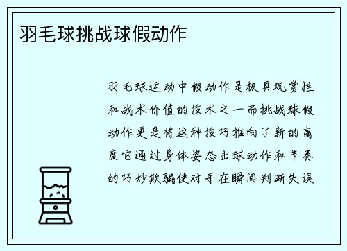 羽毛球挑战球假动作