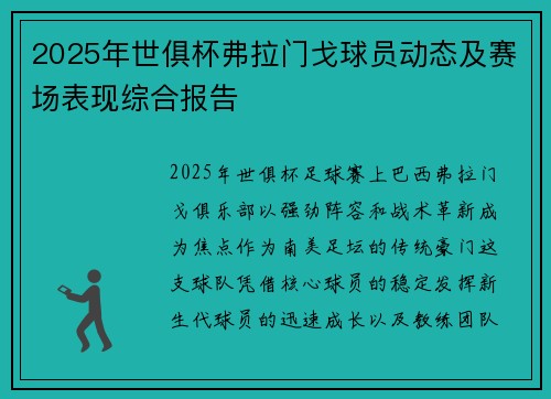 2025年世俱杯弗拉门戈球员动态及赛场表现综合报告
